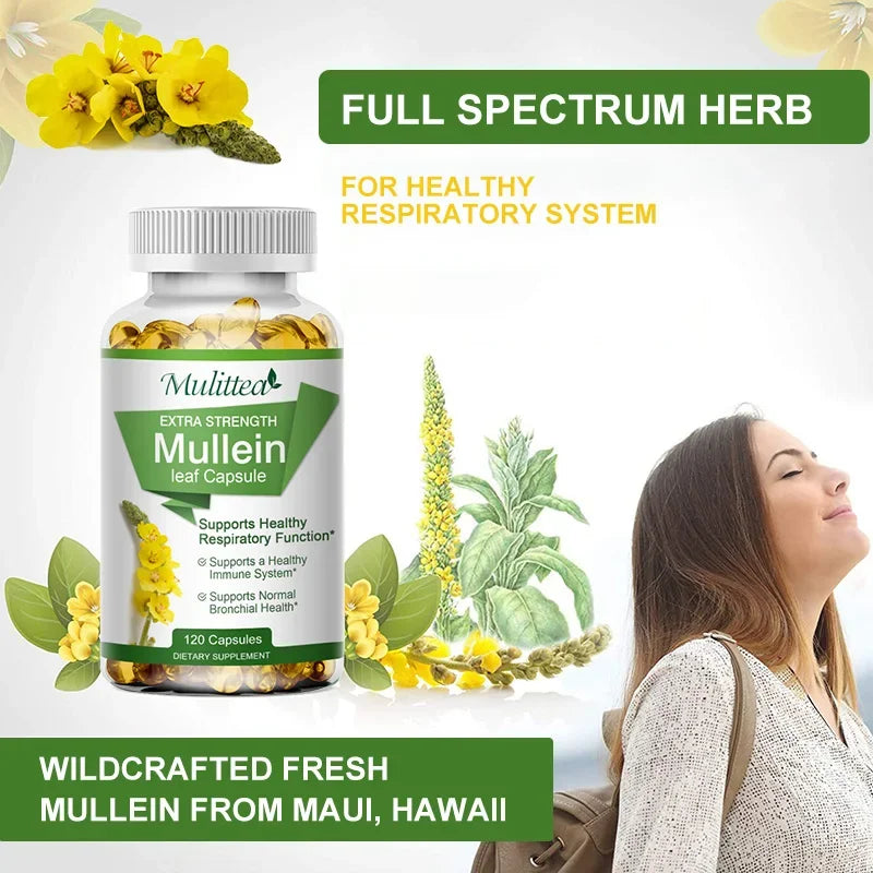 Natural Mullein Leaf Capsules Herbal Supplement for Lung Cleanse Helps Healthy Respiratory Function & Mucous Membranes
