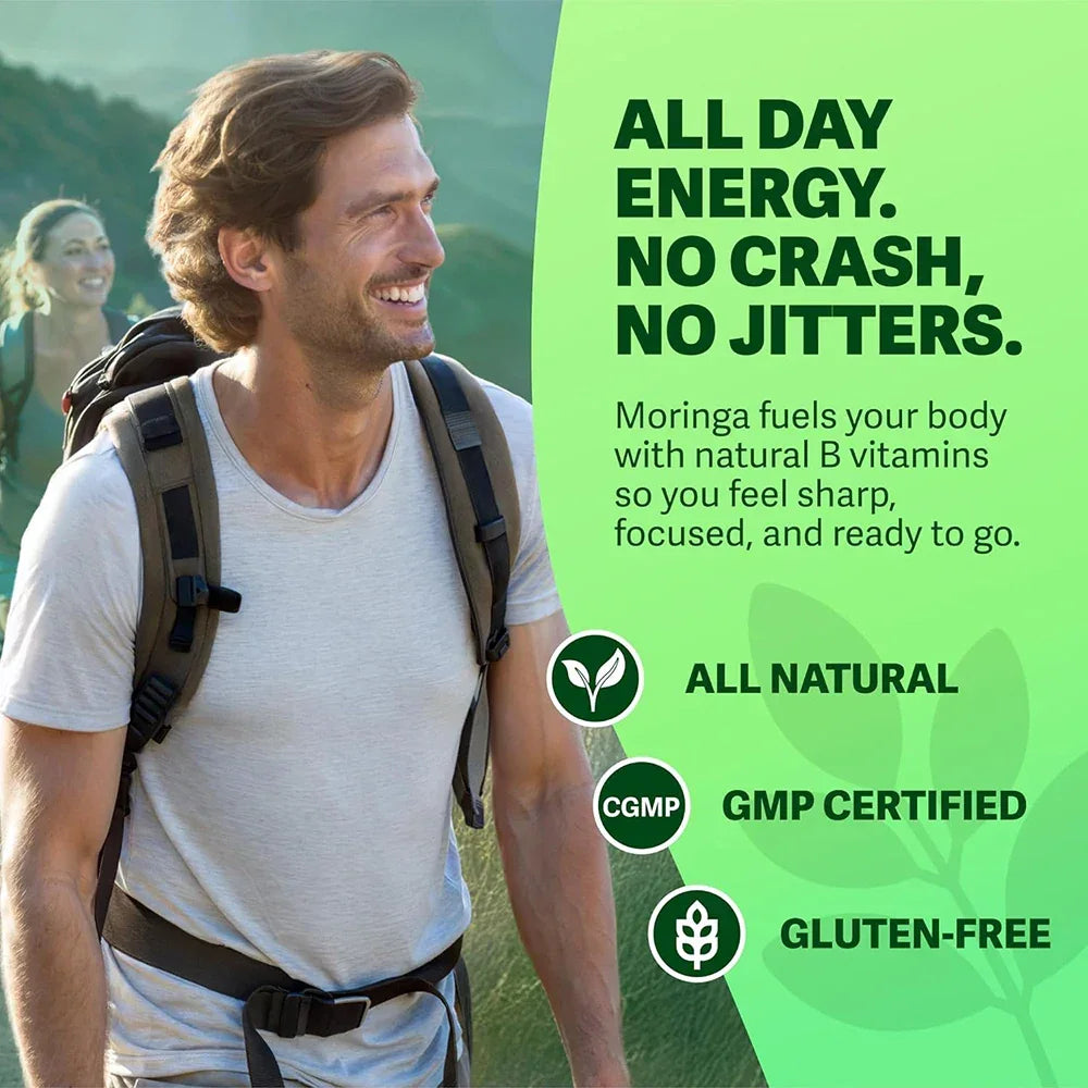 Pure Moringa Powder Capsules - Natural Green Antioxidant Superfood Supplements - Energy, Gut, Skin, Metabolism & Immune Support