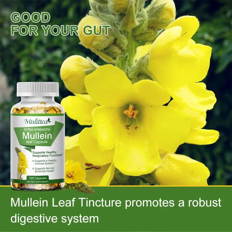 Natural Mullein Leaf Capsules Herbal Supplement for Lung Cleanse Helps Healthy Respiratory Function & Mucous Membranes